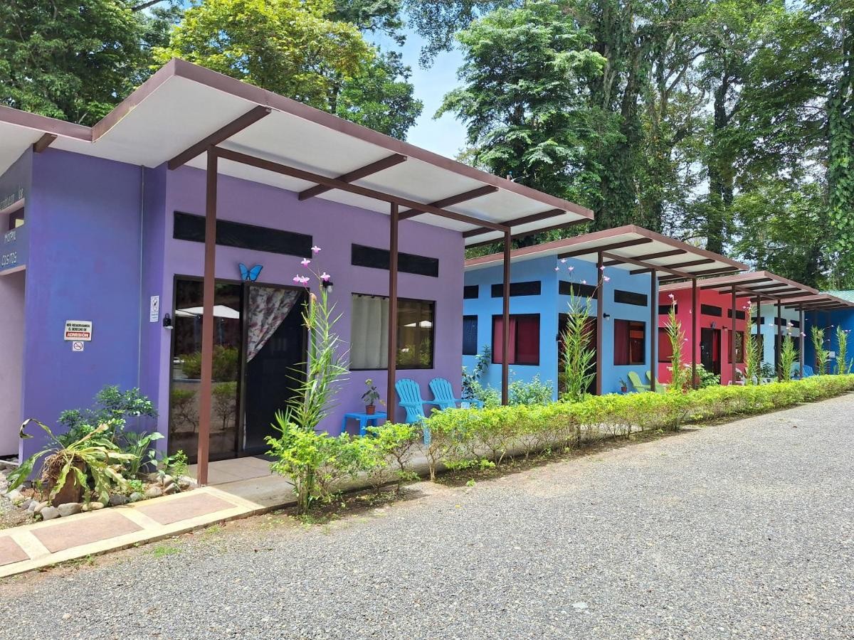 Purple, blue and red casitas standing along the garden path.