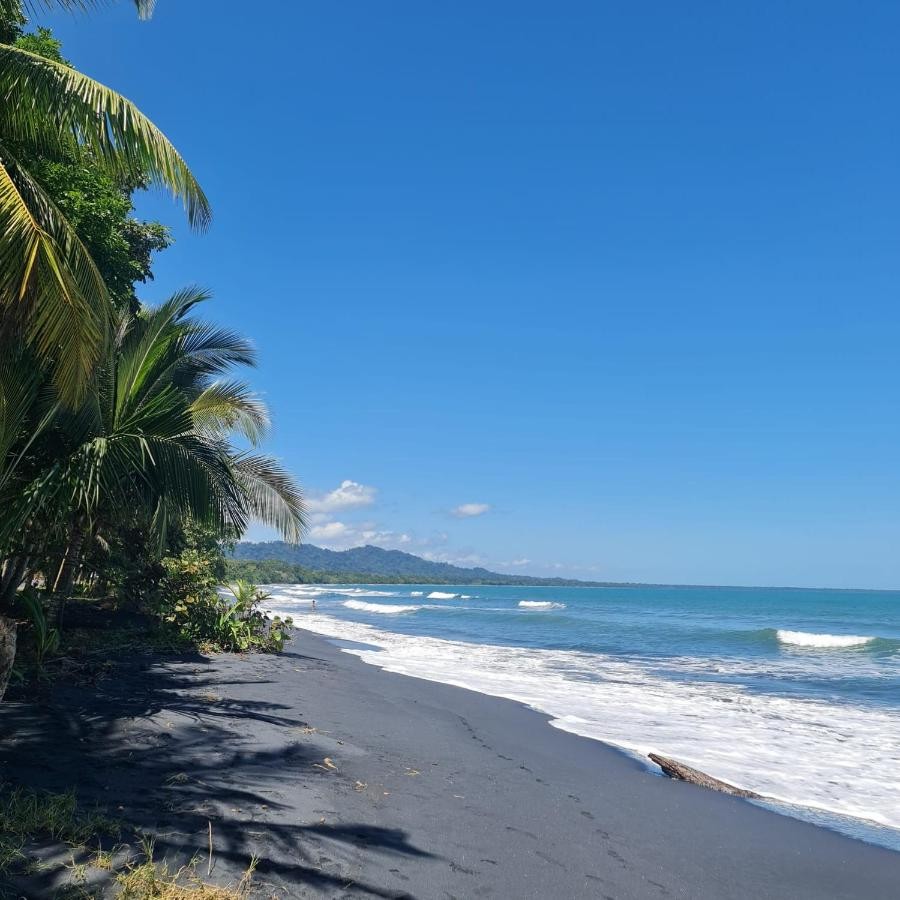 Surf breaking onto the black volcanic sand of Playa Negra.